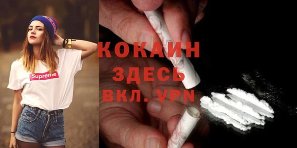 прущие грибы Арсеньев