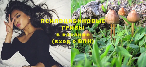 дживик Армянск