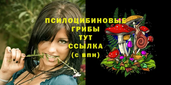 дживик Армянск
