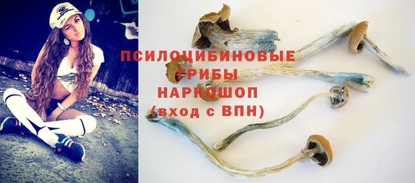 прущие грибы Арсеньев