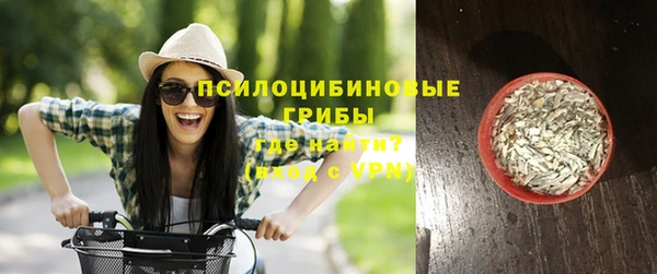 дживик Армянск