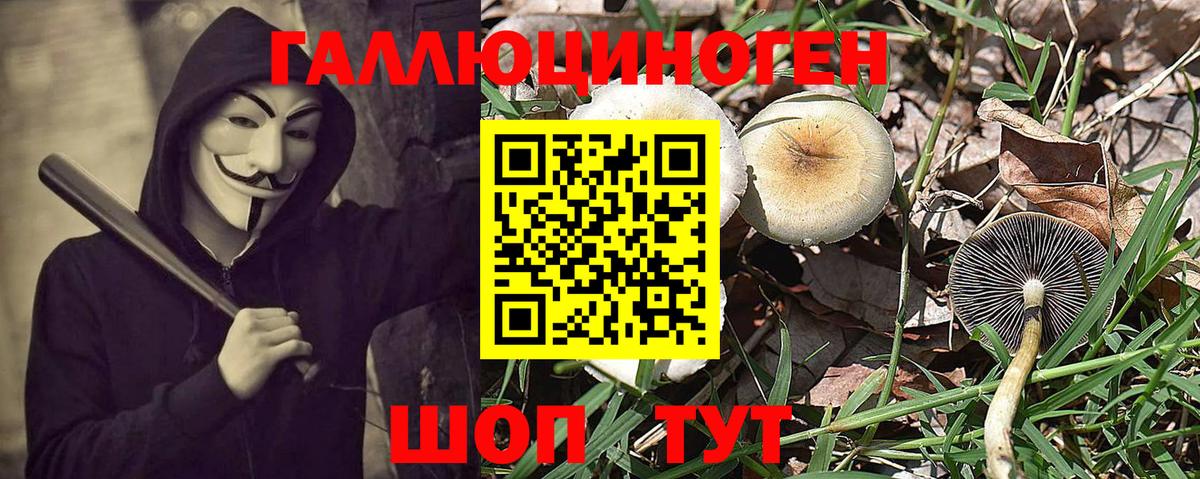 Галлюциногенные грибы мицелий  Галлюциногенные грибы MAGIC MUSHROOMS  Вход с VPN  Менделеевск 